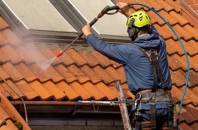 Démoussage et hydrofuge de toiture à Sergenaux